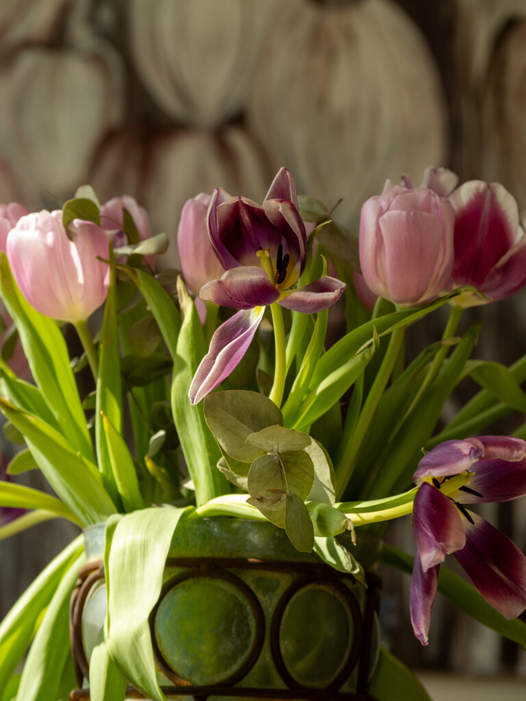 Tulpen